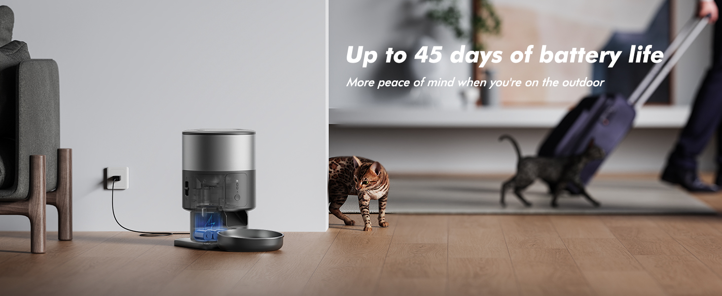 Daily food intake chart for cats and dogs - 2025 smart feeder guide