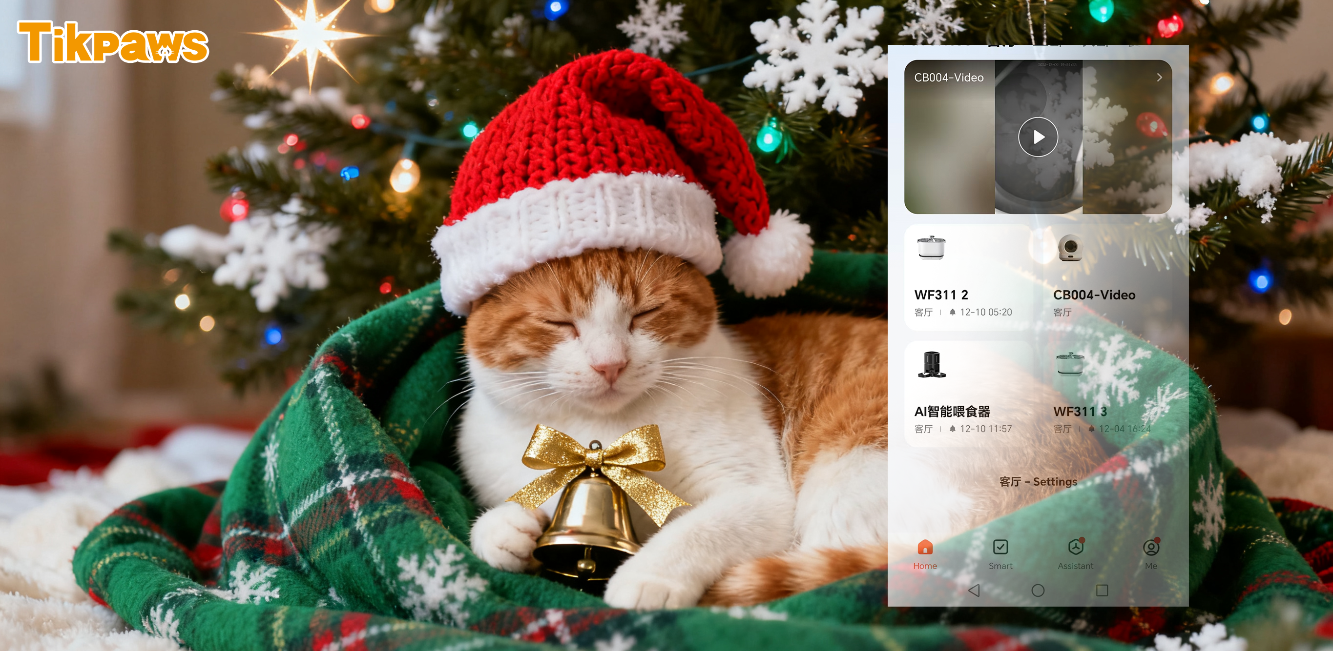 Remote cat monitoring app 2025 - track feeding, hydration and litter use