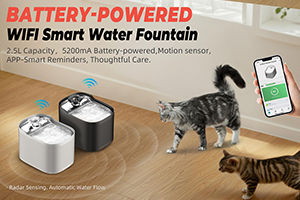 Pet Fountain