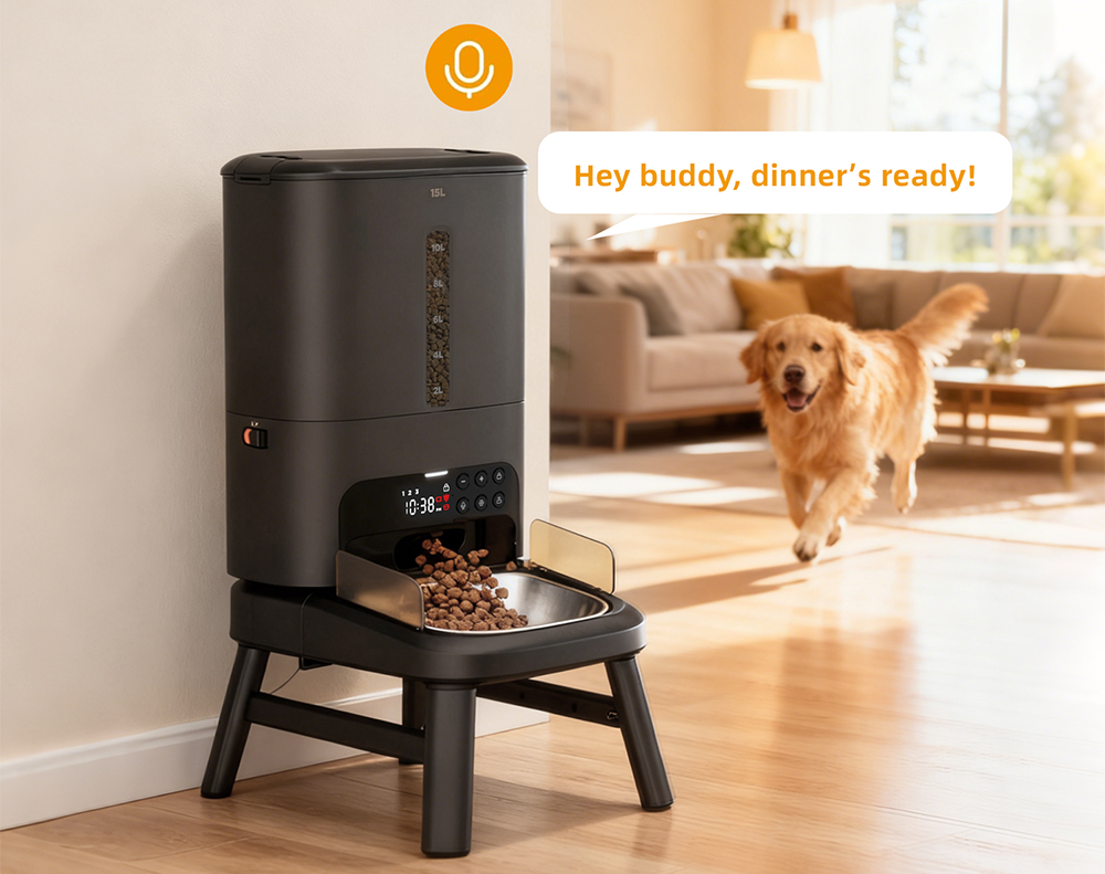 Personalized Voice Interaction