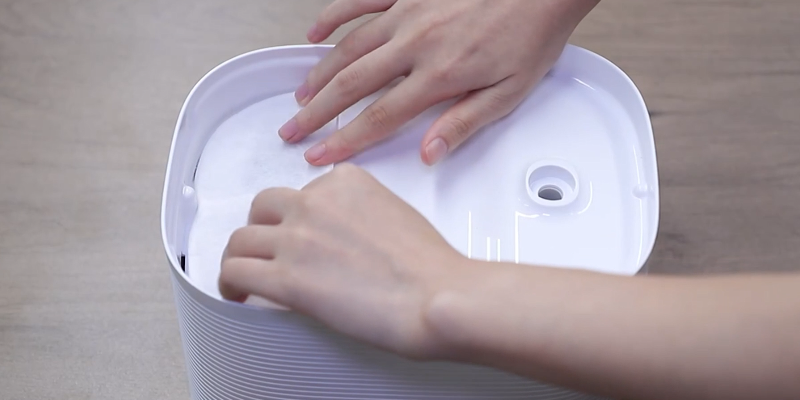 Installing filter tray and filter