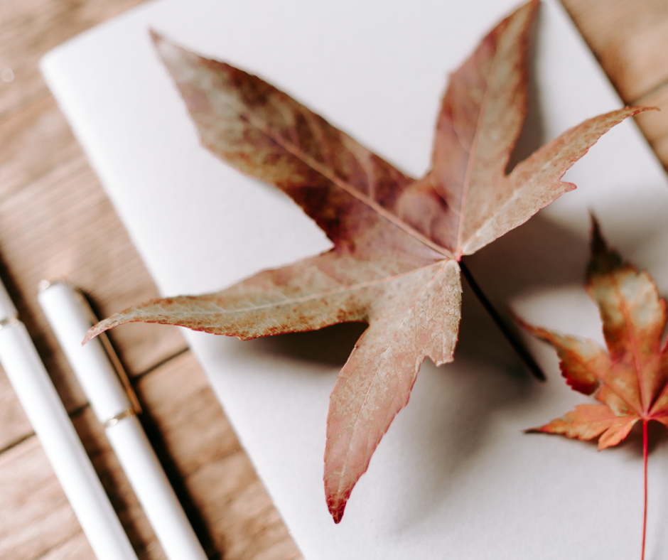 Hands holding a gratitude journal with fall leaves, symbolizing Thanksgiving's core value of thankfulness