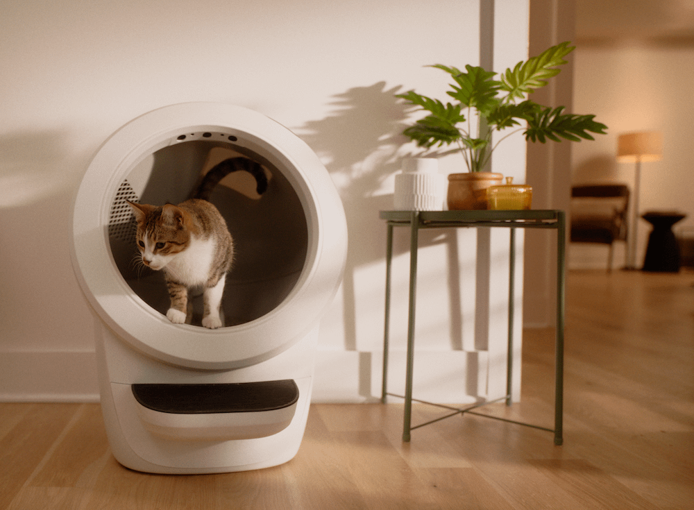 Cat using smart litter box - automatic cleaning feature